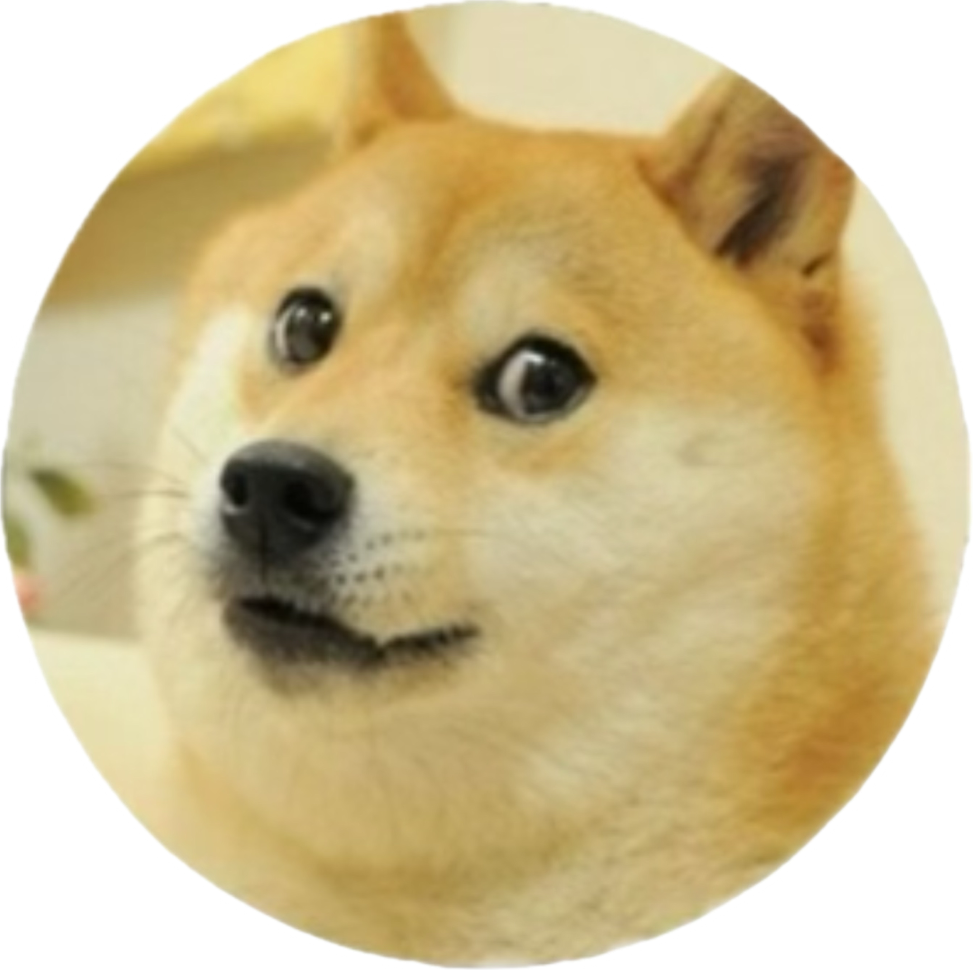 Doge OS - So Operating System
